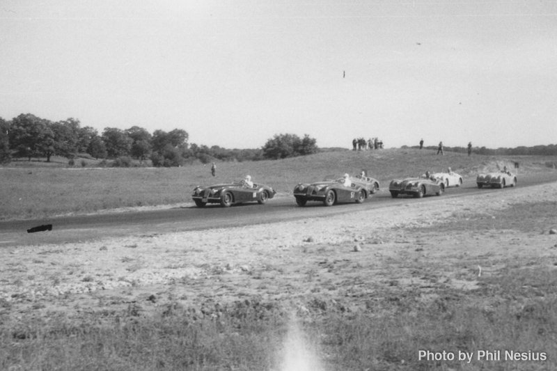 Jaguar's possible at Wilmot 1953 (?) / 139K_0001 / 