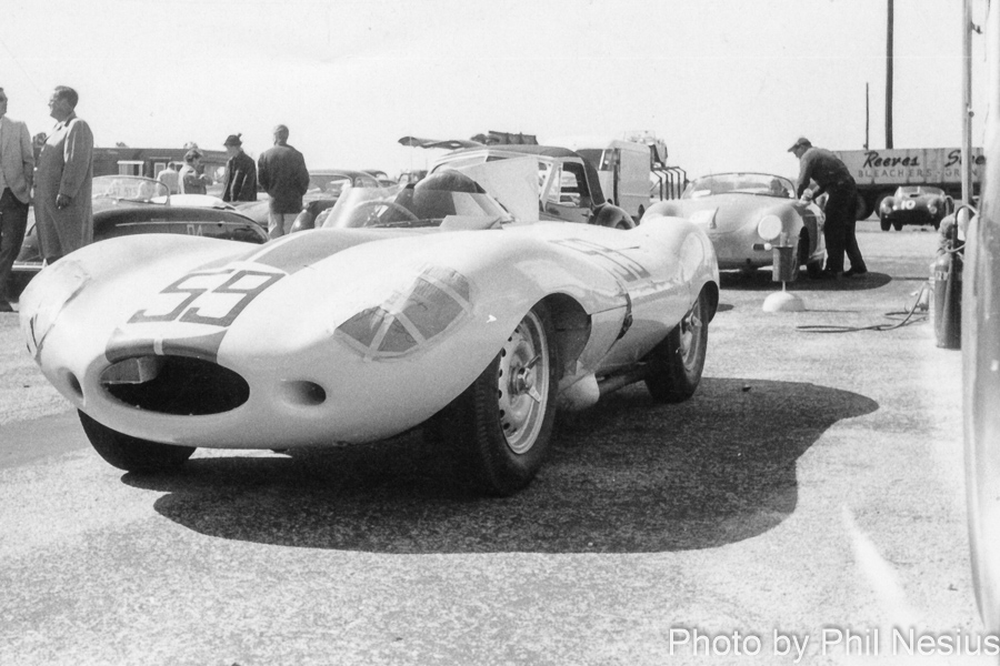 Jaguar D-type Number 59 driven by Sherwood Johnston at Walterboro National Championship Sports Car Race March 10th 1956 / 952_0002 / 