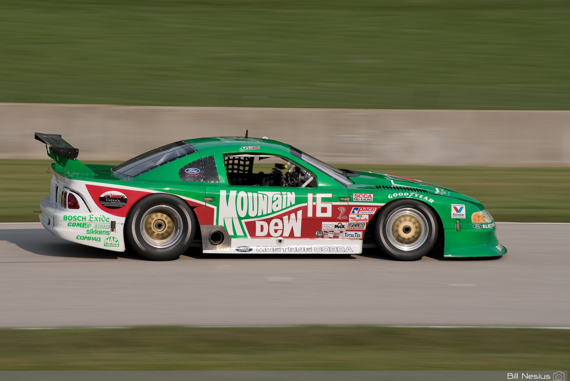 1995 Ford Mustang GT1 Number 16 driven by Colin Comer between turns 3-4 / DSC_3227 / 5