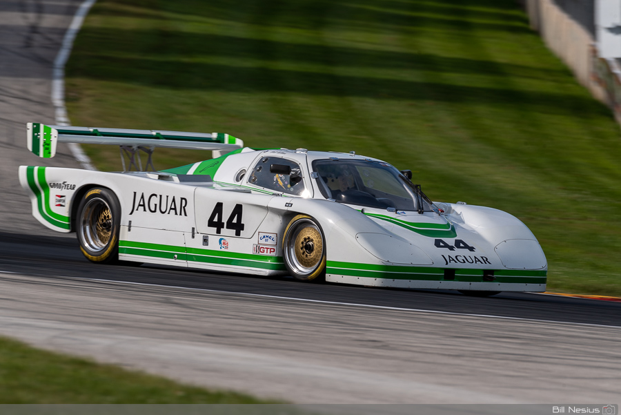 1982 Jaguar XJR-5 Number 44 / DSC_3102 / 4