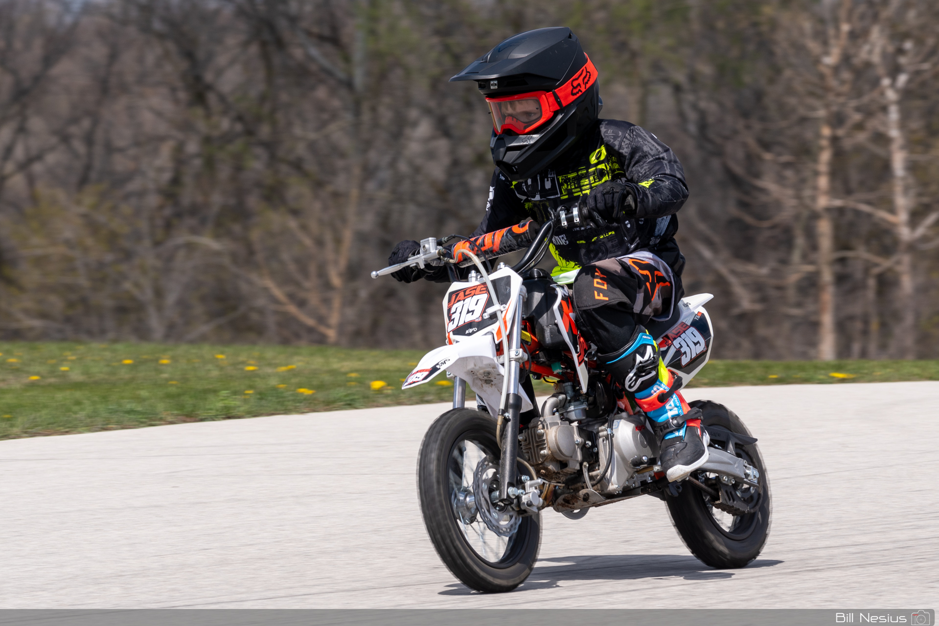 Kayo Number 319 / DSC_1079 / 4