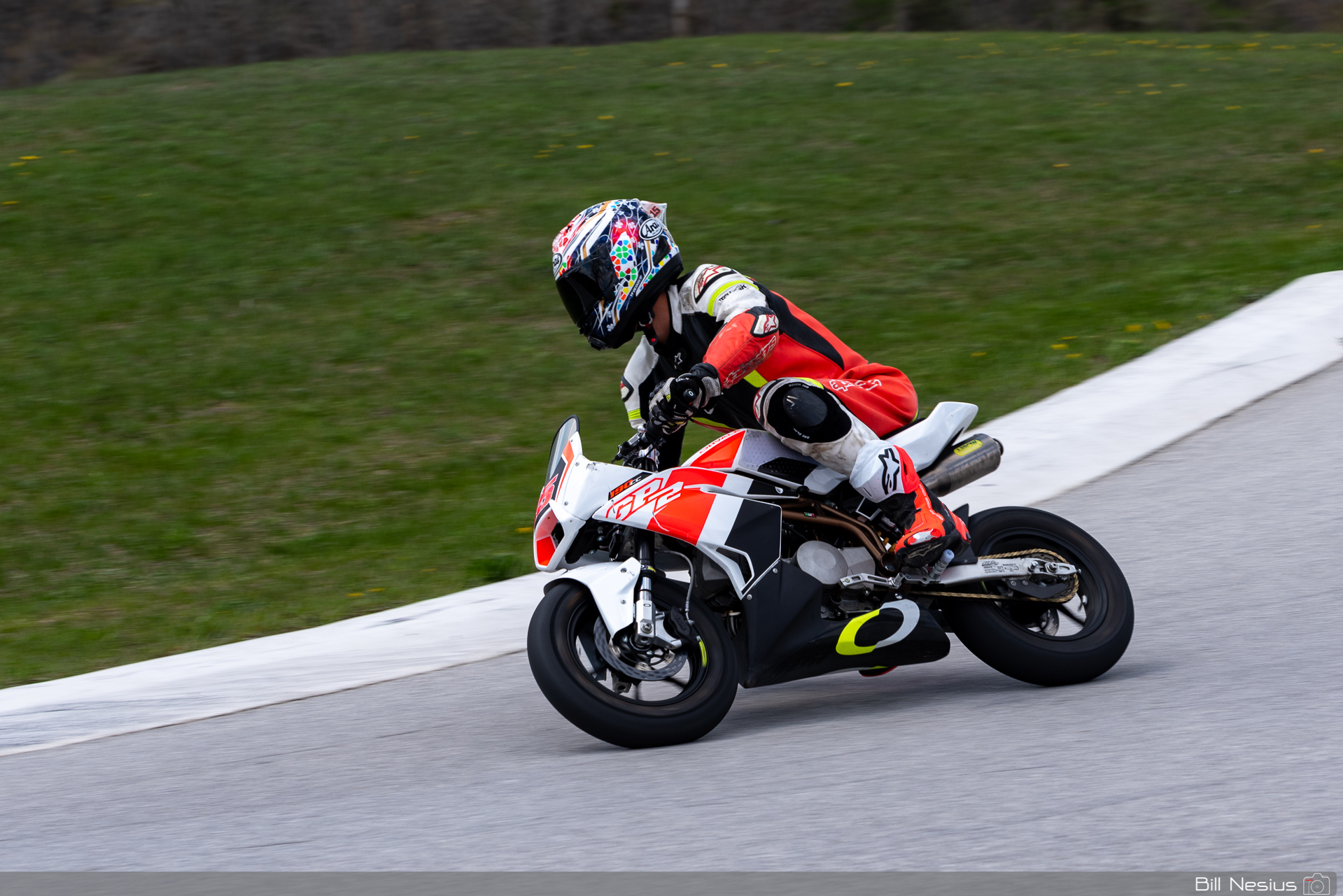 Ohvale GP2 Number 15 / DSC_2852 / 3