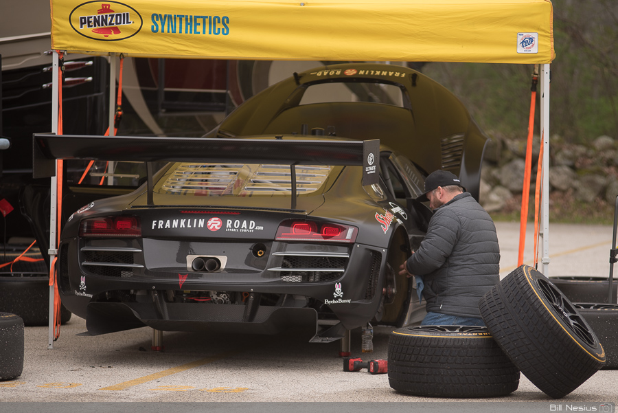 Paddock / DSC_5367 / 3