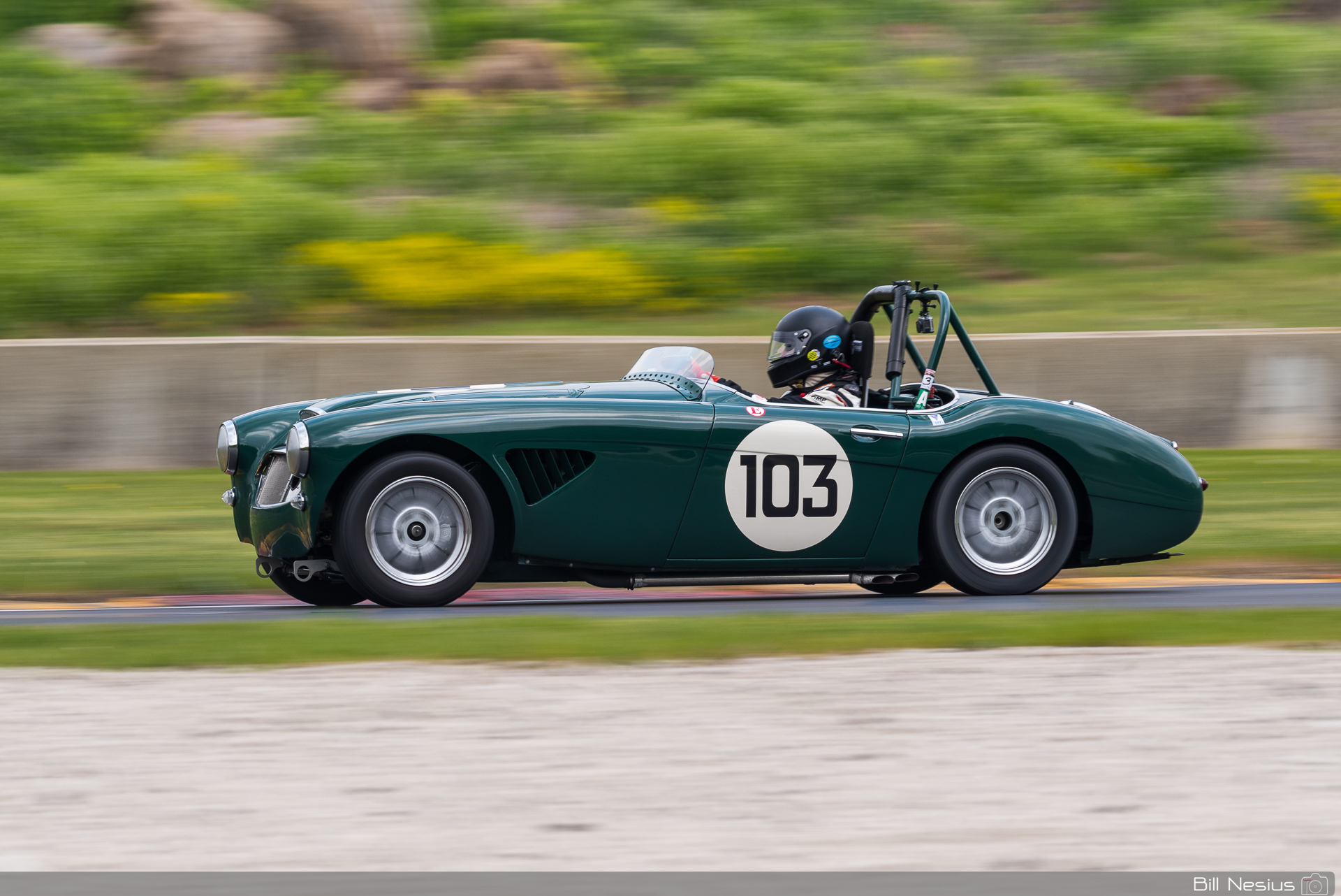 1959 Austin Healey 3000 Number 103 / DSC_1418 / 4