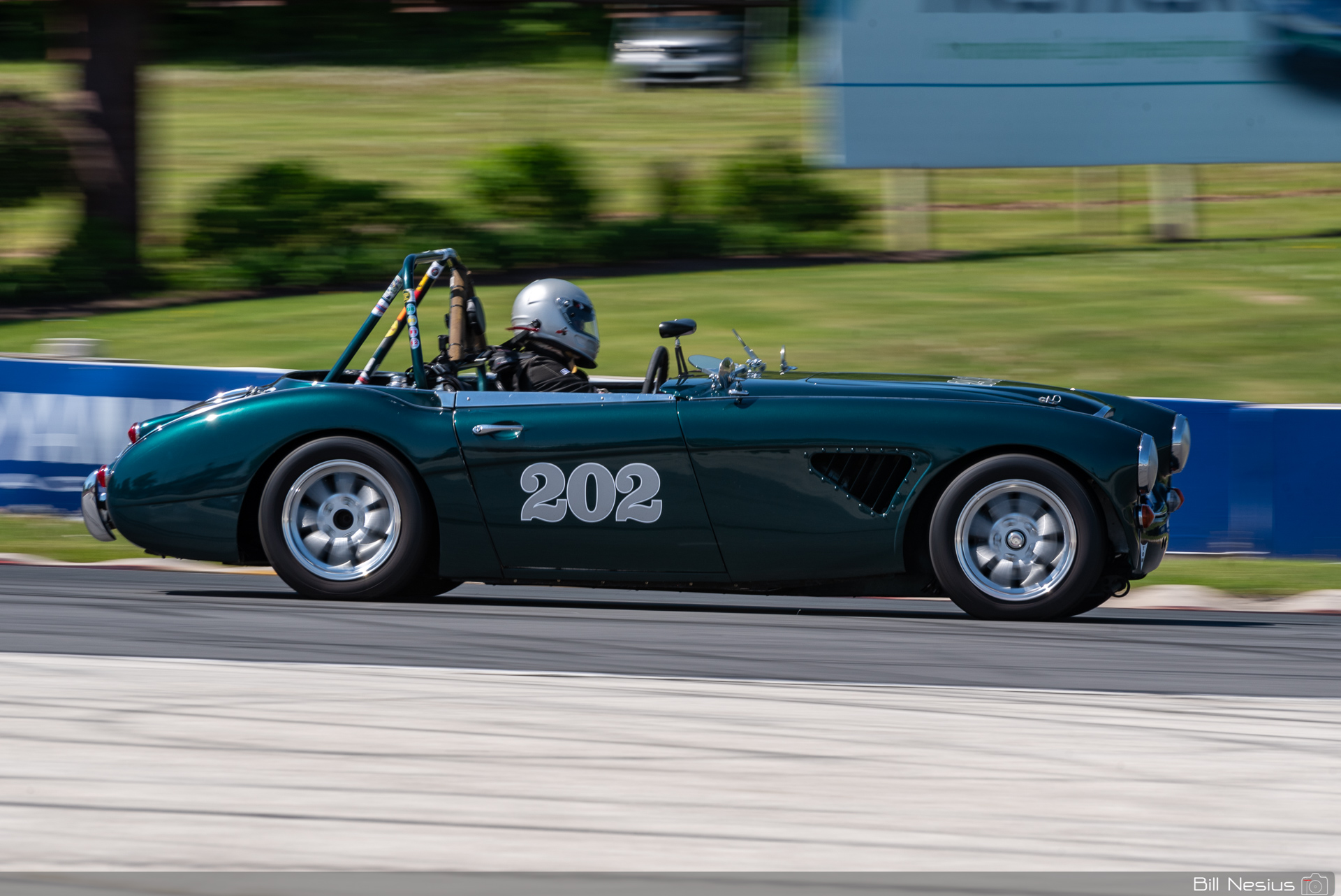 1966 Austin Healey 3000 Number 202 / DSC_5534 / 3