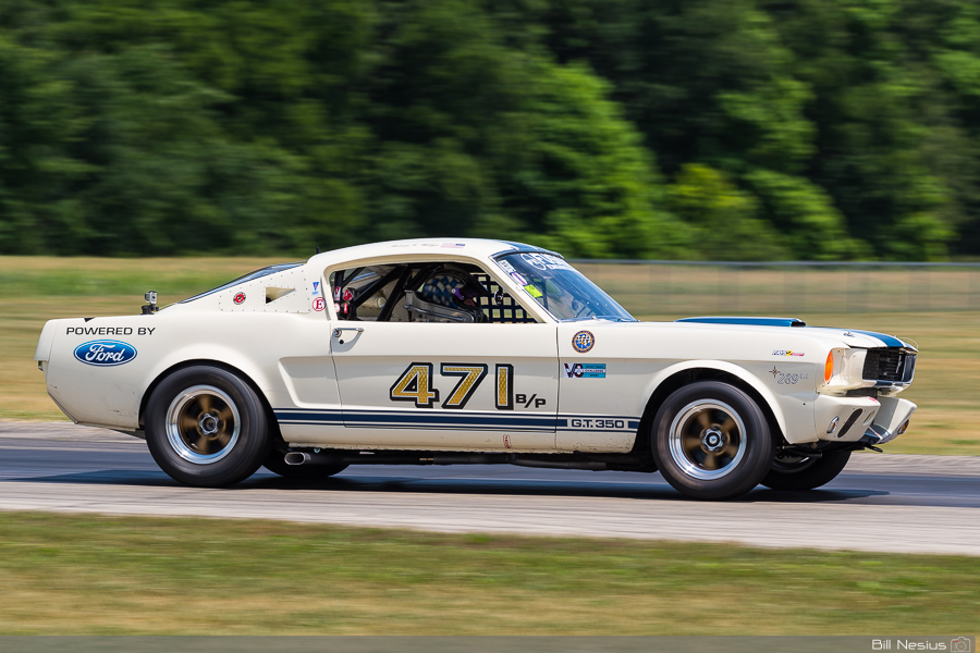 1966 Ford Mustang Shelby GT350 Number 471 / DSC_8428 / 4