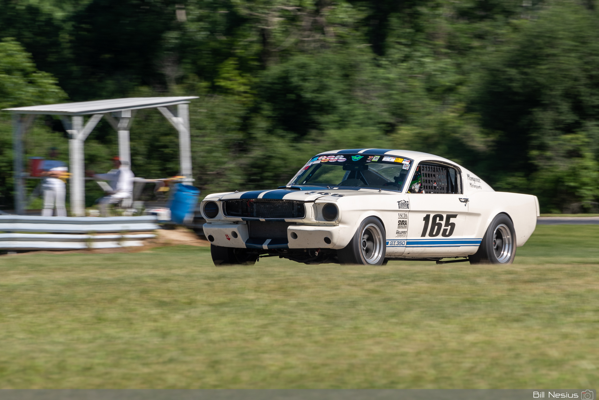 1965 Ford Mustang Shelby GT350 Number 165 / DSC_2563 / 3