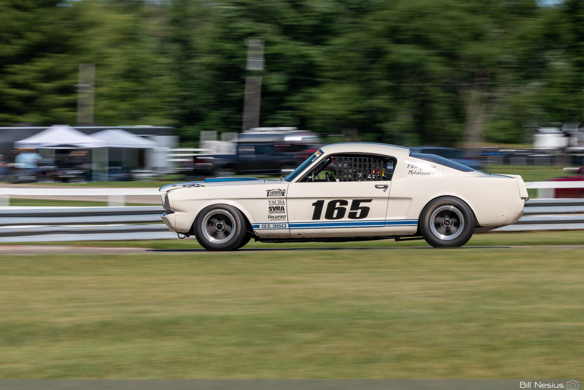 1965 Ford Mustang Shelby GT350 Number 165 / DSC_2631 / 3
