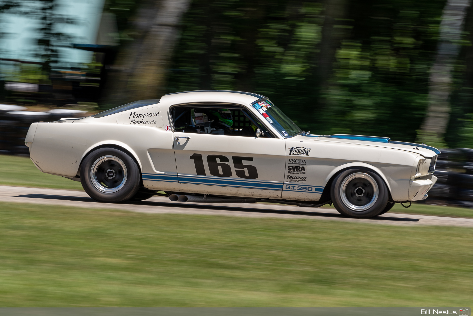 1965 Ford Mustang Shelby GT350 Number 165 / DSC_3243 / 4