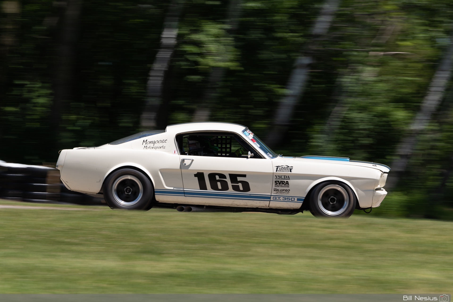 1965 Ford Mustang Shelby GT350 Number 165 / DSC_3269 / 3