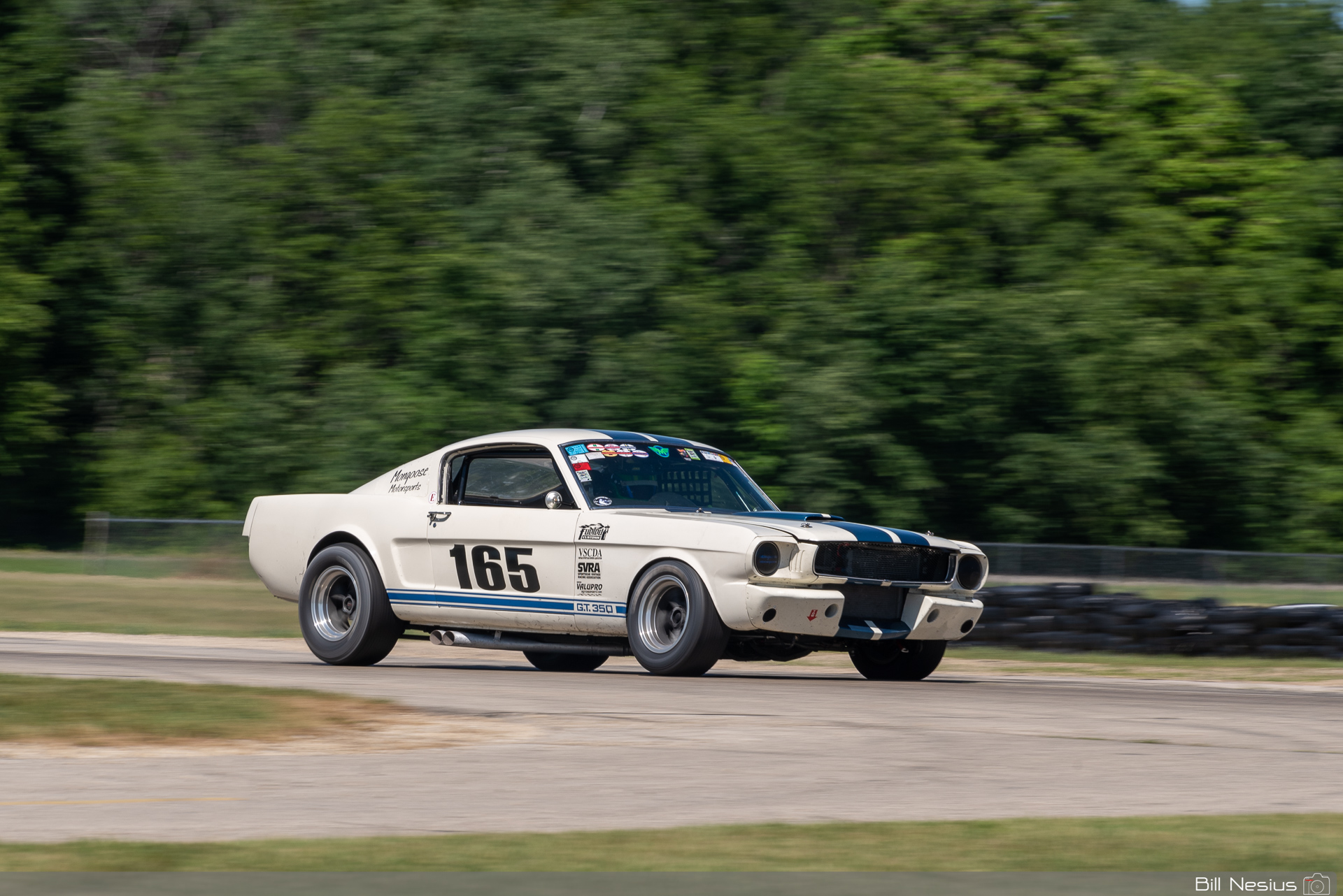 1965 Ford Mustang Shelby GT350 Number 165 / DSC_3578 / 4