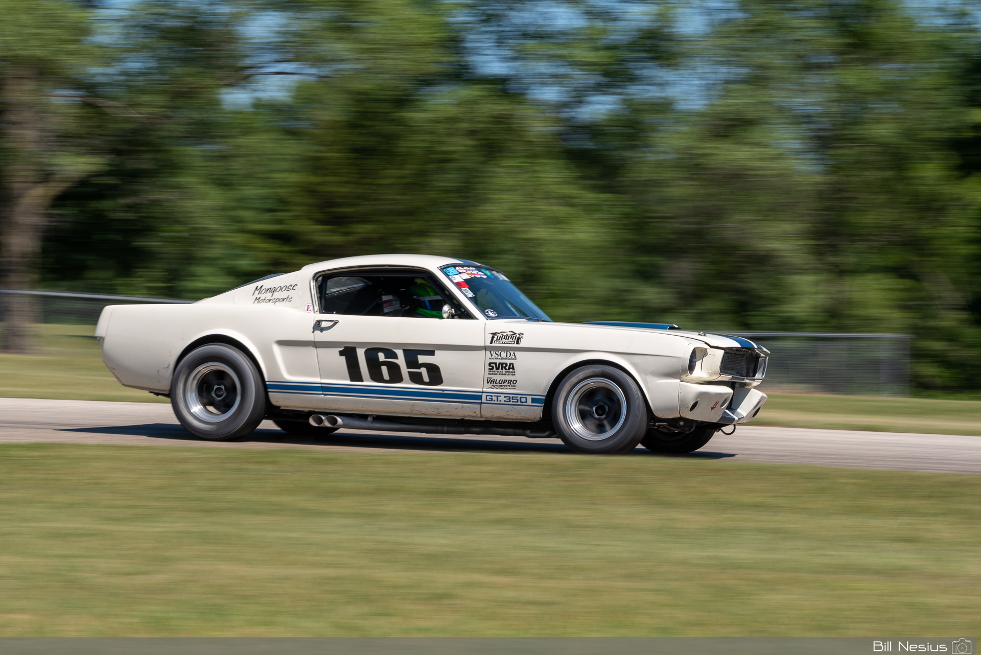 1965 Ford Mustang Shelby GT350 Number 165 / DSC_3582 / 3