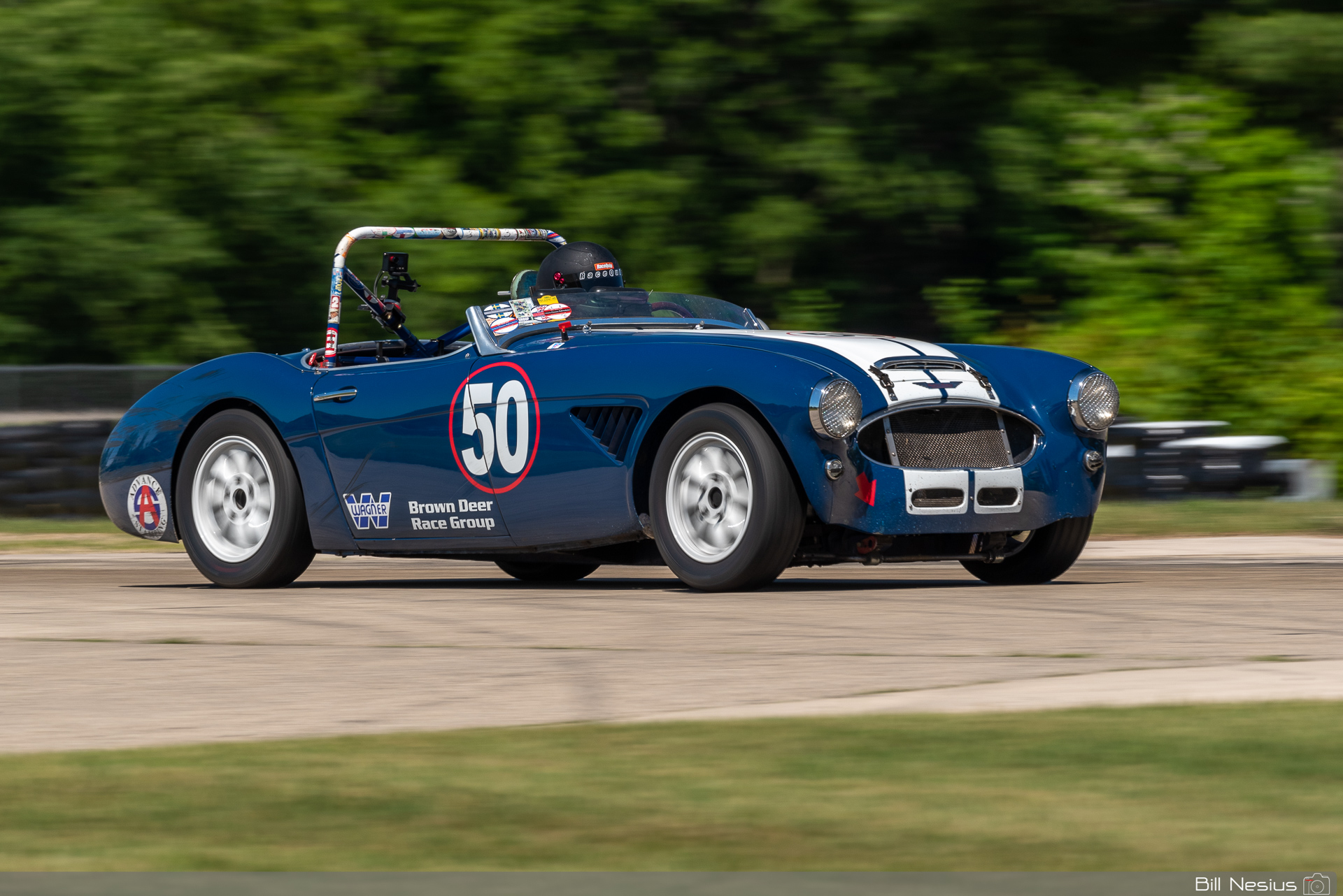 1960 Austin Healey 3000 Number 50 / IMG_0548 / 4