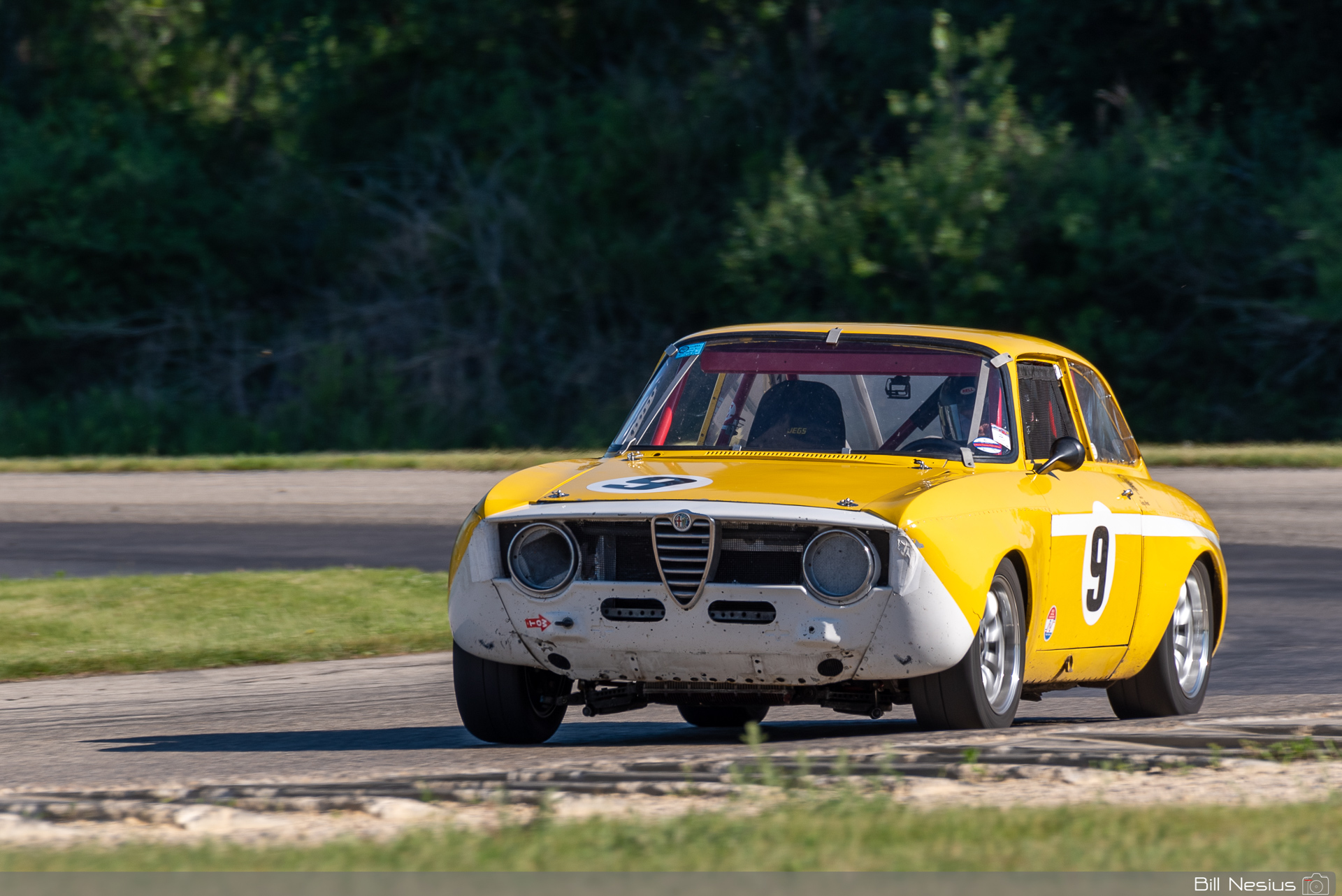 1966 Alfa Romeo GTV Number 9 / IMG_6842 / 3