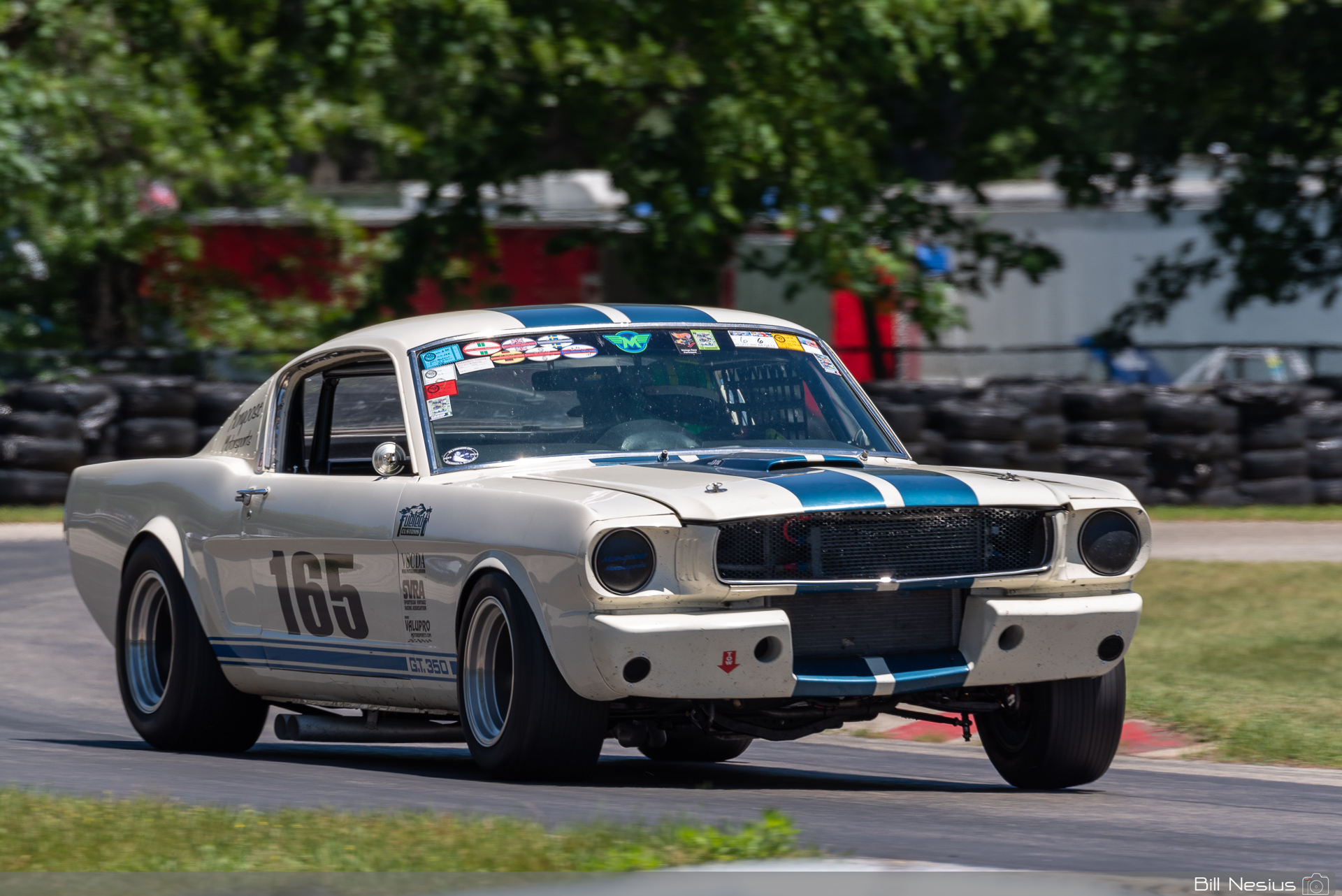 1965 Ford Mustang Shelby GT350 Number 165 / IMG_8897 / 3
