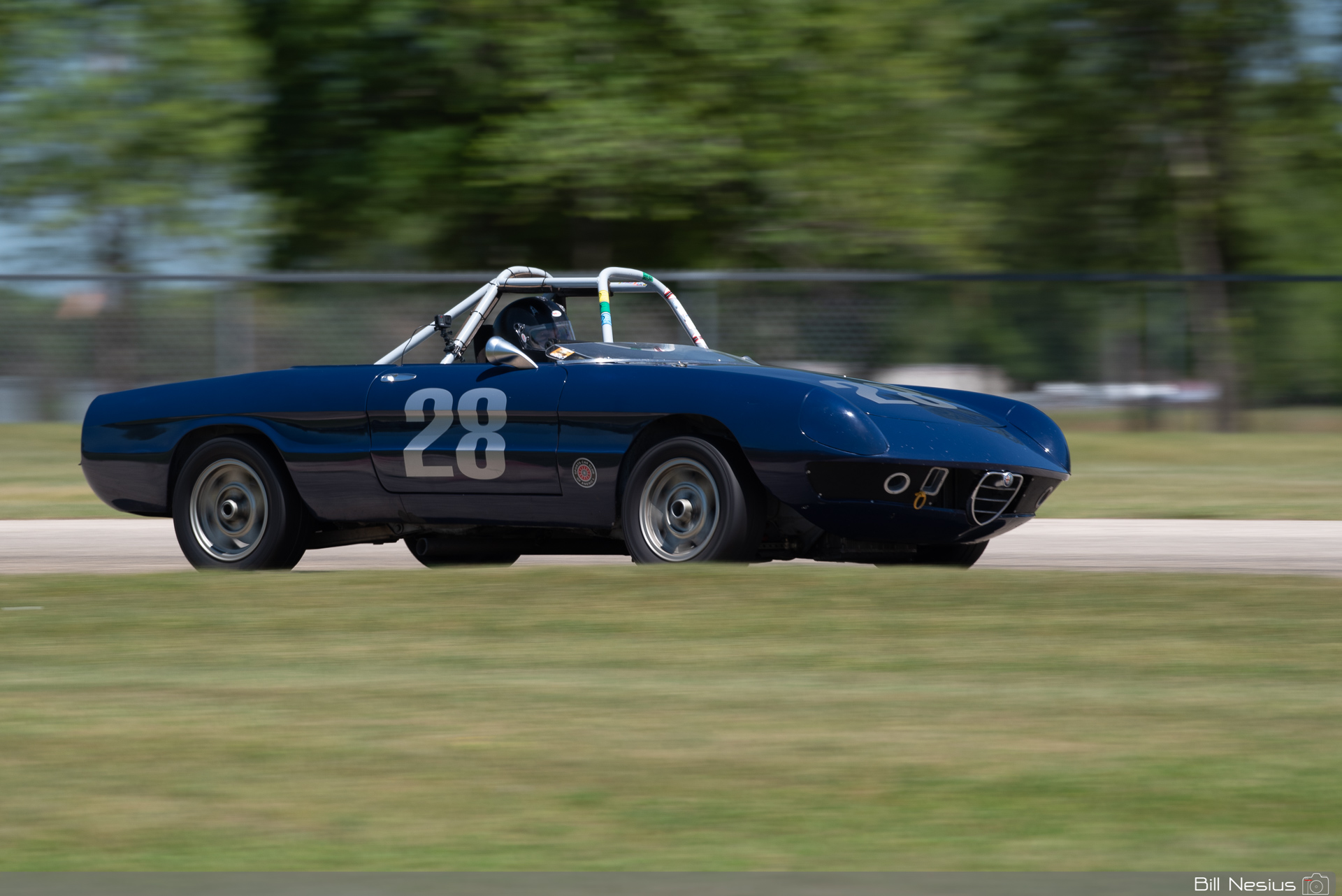 1971 Alfa Romeo Spider 1750 Number 28 / IMG_9619 / 3