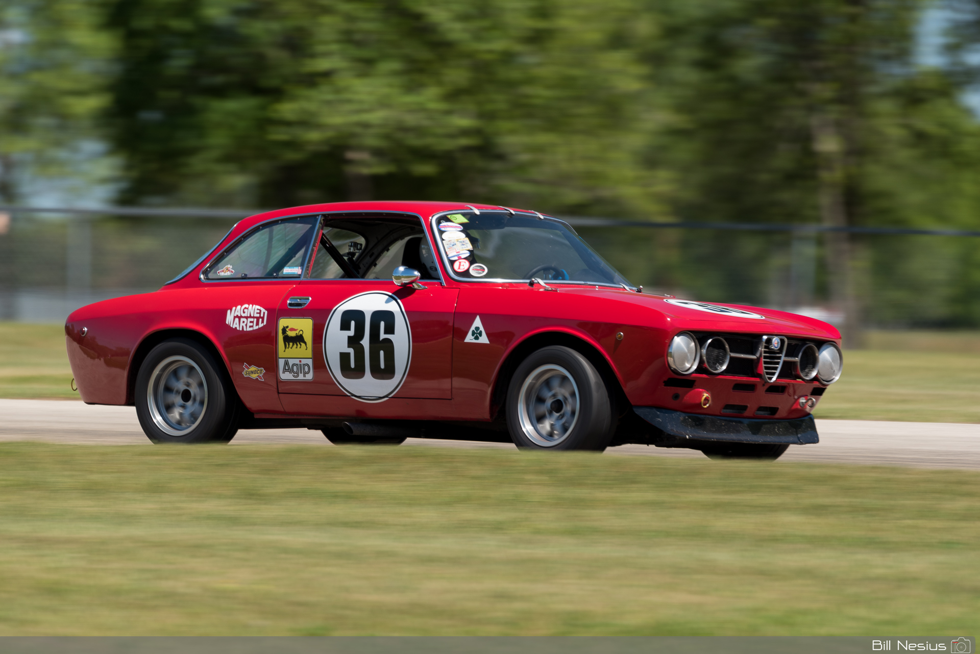 1969 Alfa Romeo GTV Number 36 / IMG_9908 / 3