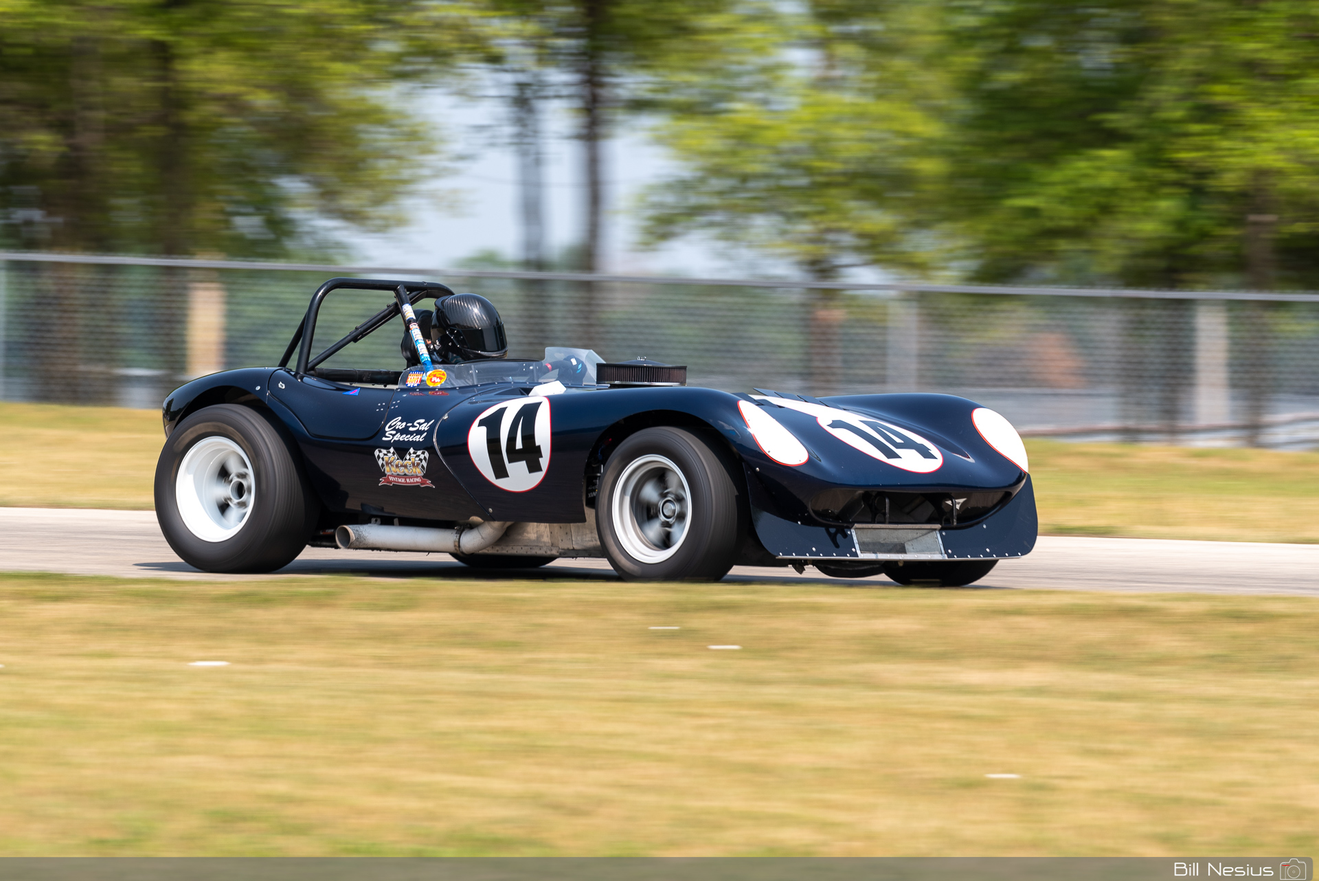 1965 BTM Cheetah Number 14 / DSC_1405 / 3