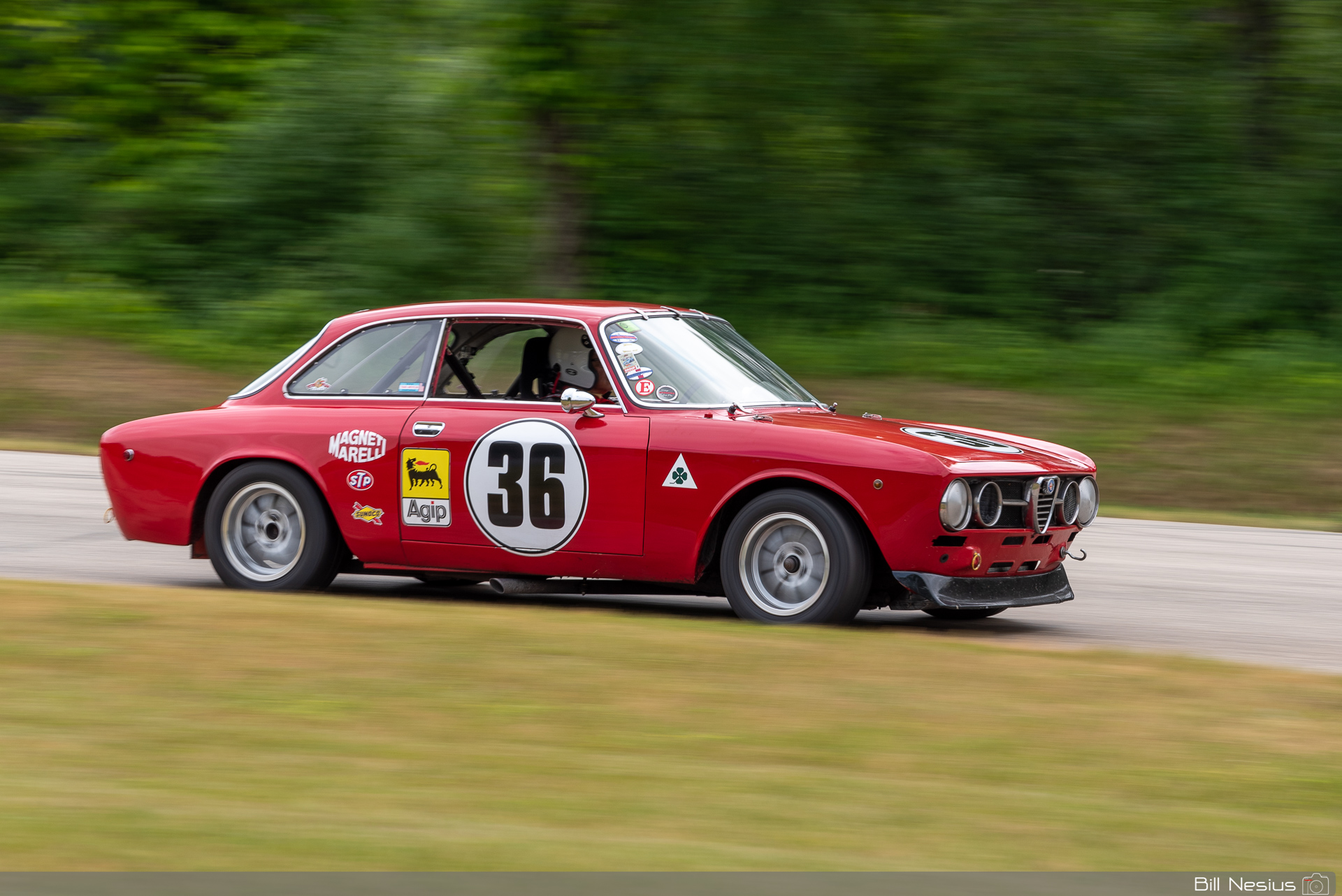1969 Alfa Romeo GTV Number 36 / IMG_4034 / 3