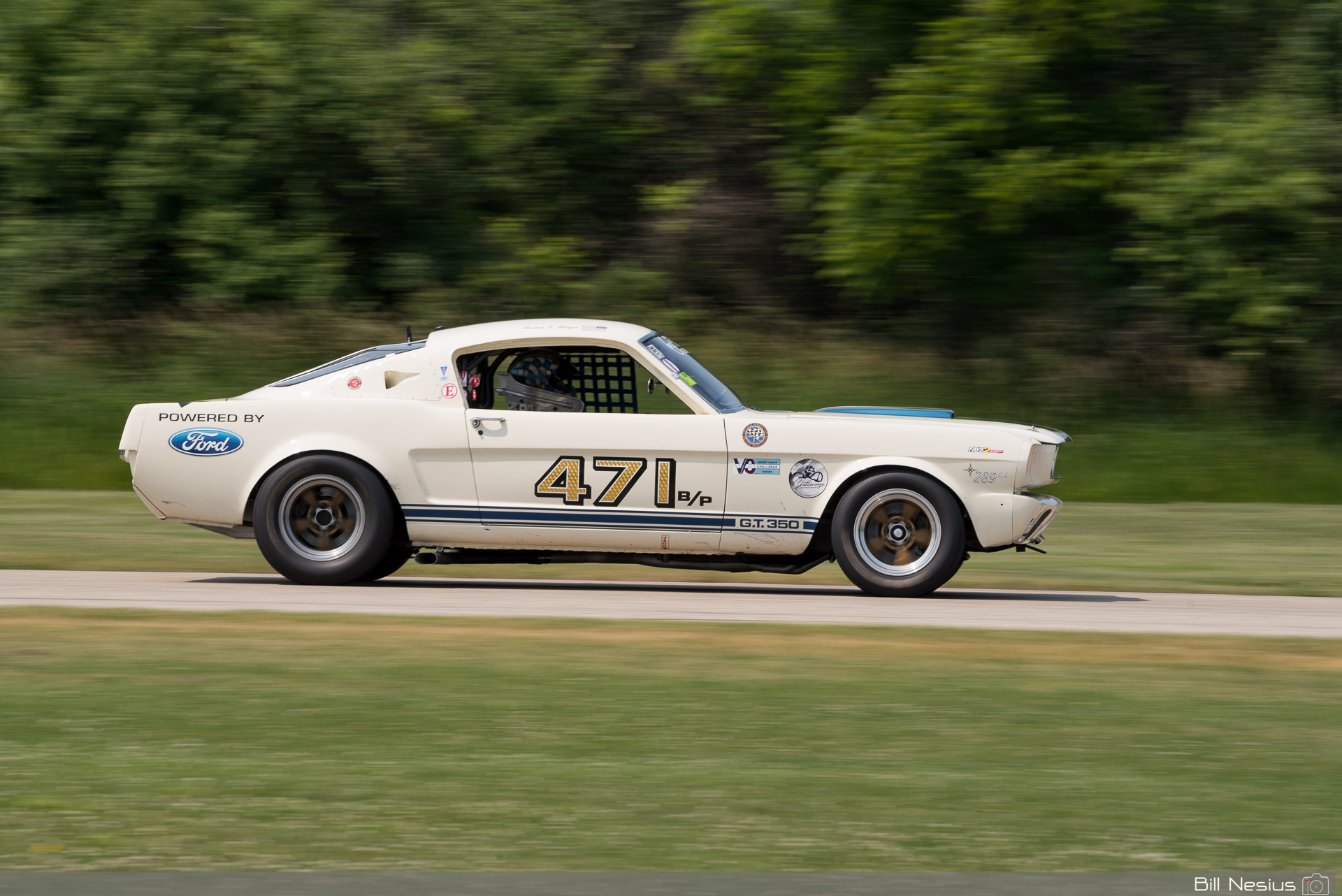 1966 Ford Mustang Shelby GT350 Number 471 / IMG_5409 / 3