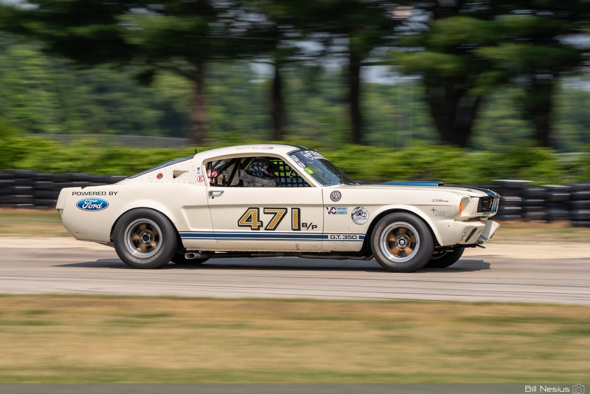 1966 Ford Mustang Shelby GT350 Number 471 / IMG_5474 / 3