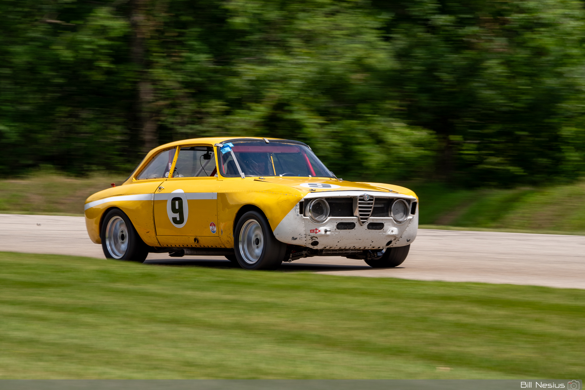 1966 Alfa Romeo GTV Number 9 / IMG_9278 / 3
