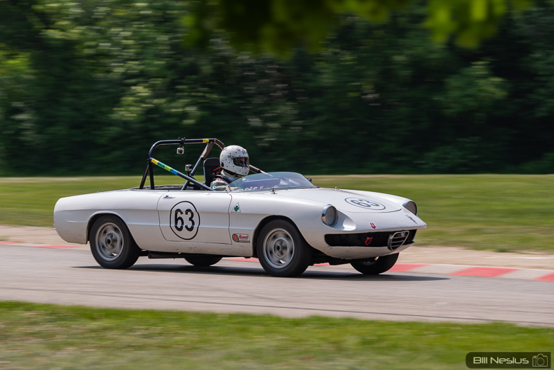 1974 Alfa Romeo Spider Number 63 / IMG_5001 / 3