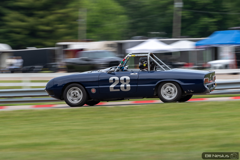 1971 Alfa Romeo Spider 1750 Number 28 / IMG_6301 / 3