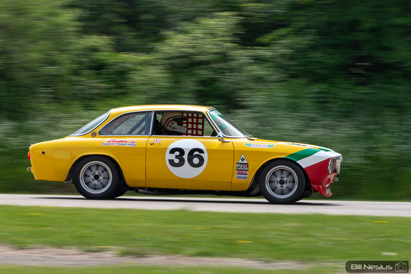 1969 Alfa Romeo GTV Number 36 / IMG_8151 / 3
