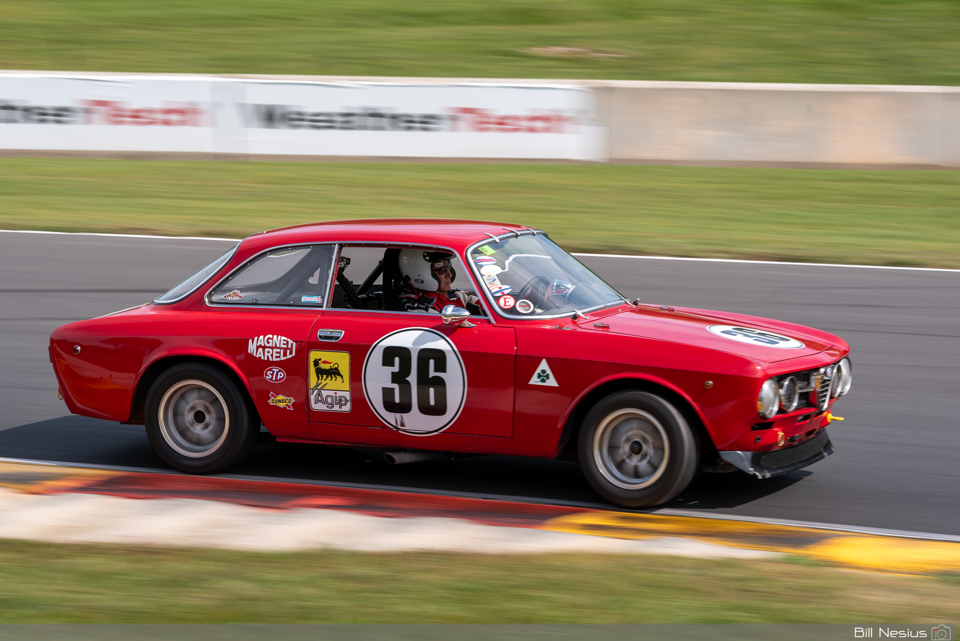 1969 Alfa Romeo GTV Number 36 / IMG_6675 / 4