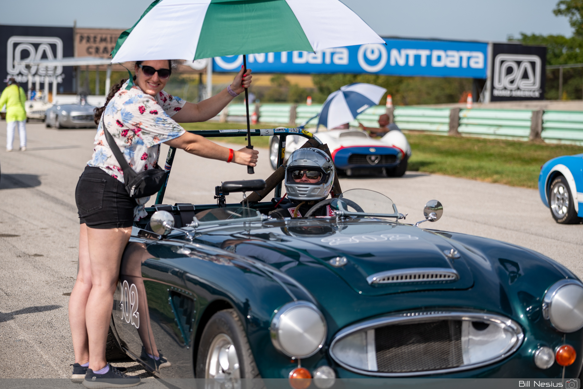 1966 Austin Healey 3000 Number 202 / DSC_0290 / 3