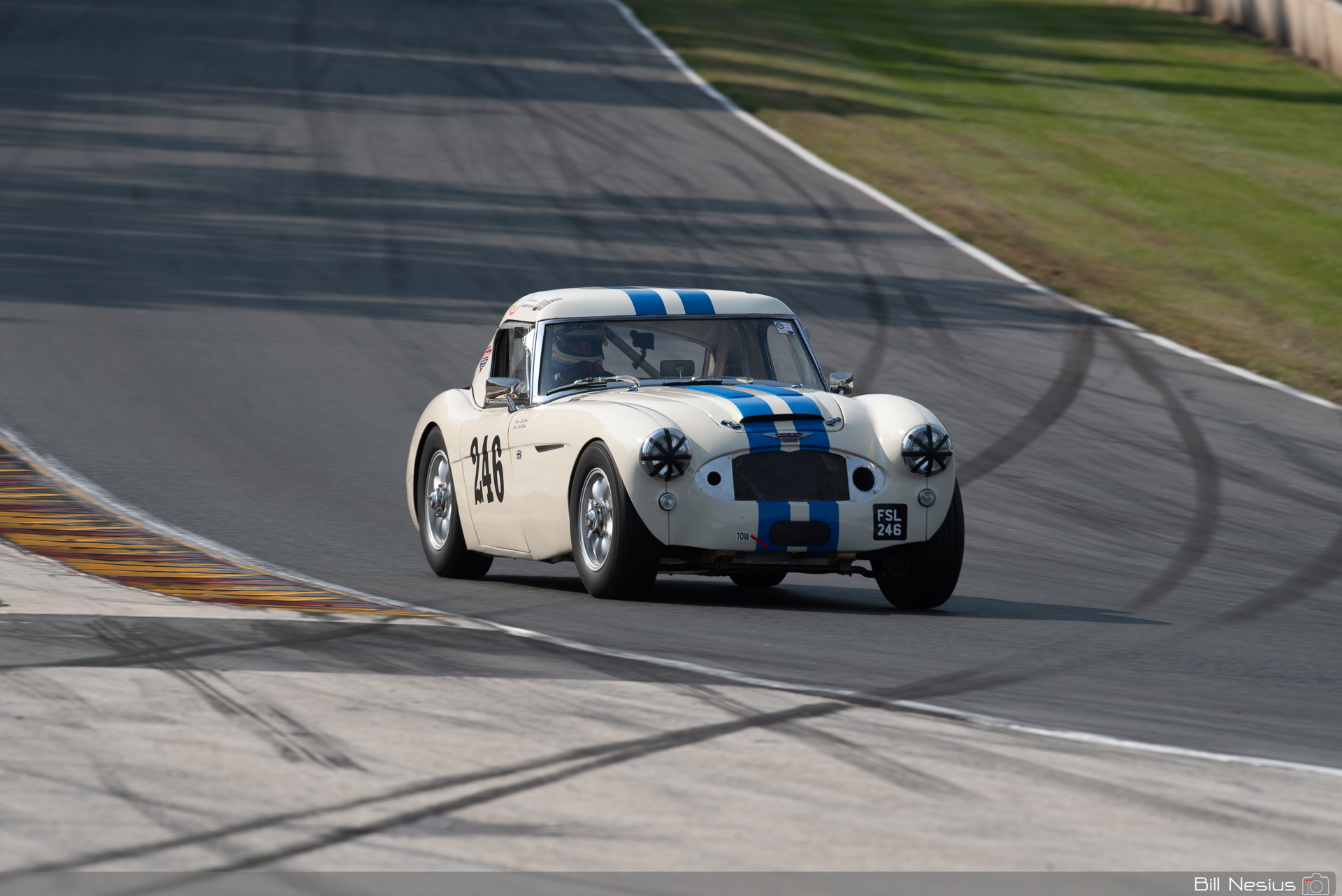 1963 Austin Healey 3000 Number 246 / DSC_6142 / 3