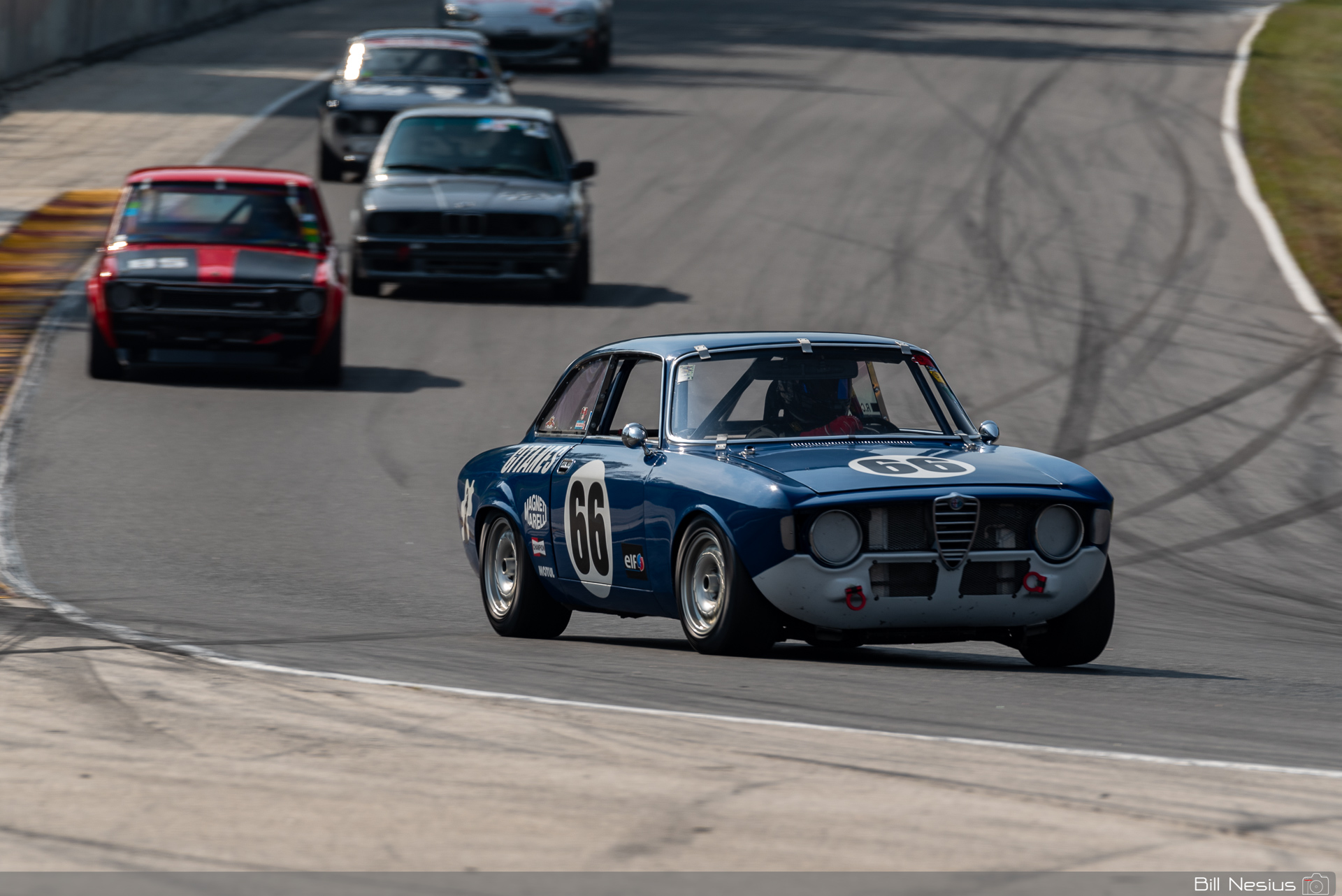 1966 Alfa Romeo GTV Number 66 / DSC_6739 / 3