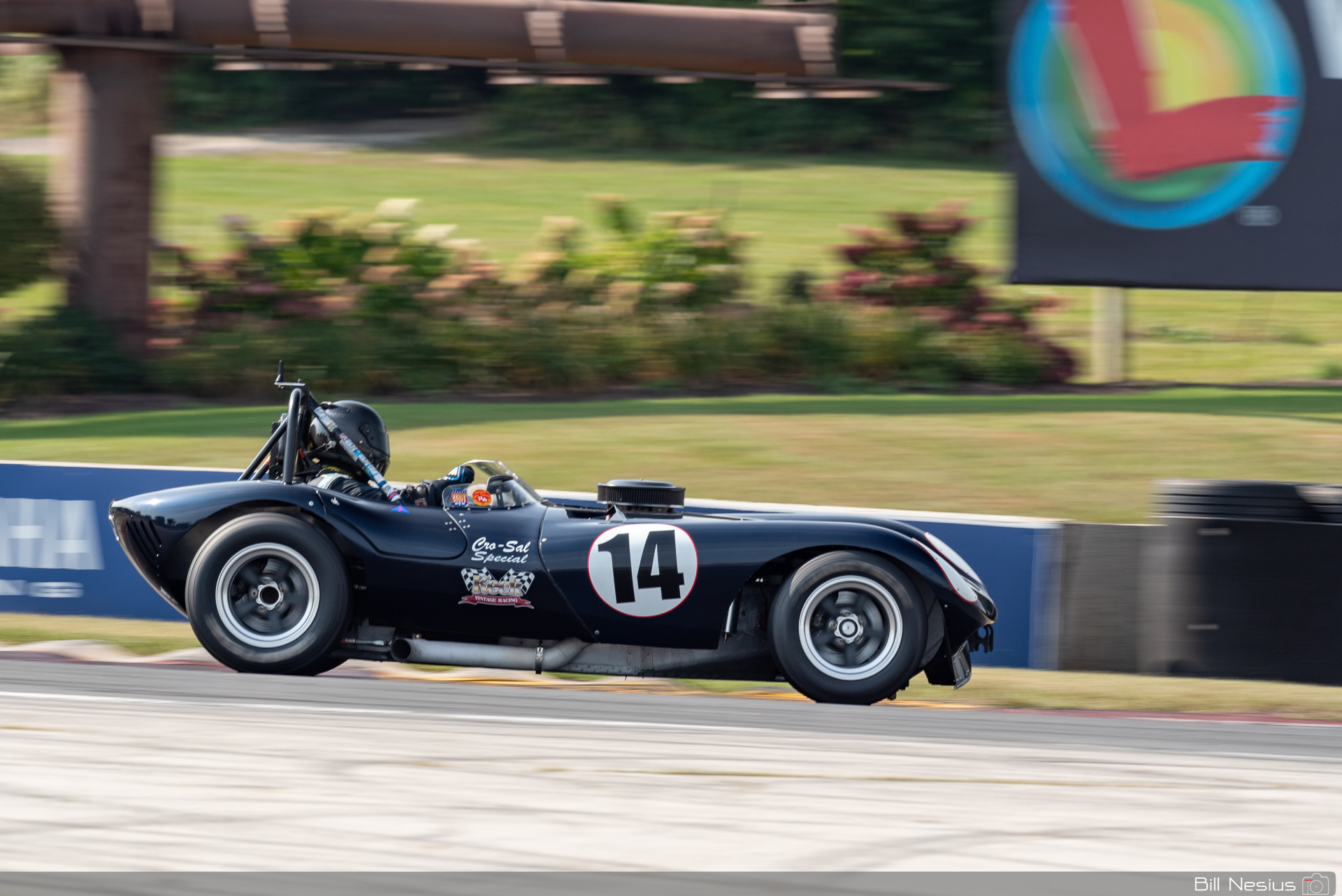 1965 BTM Cheetah Number 14 / DSC_6892 / 3