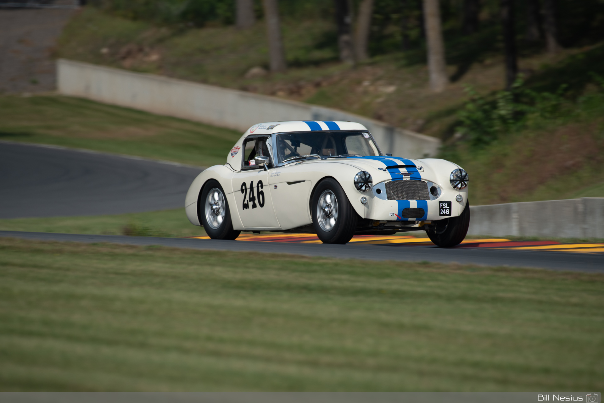 1963 Austin Healey 3000 Number 246 / DSC_7234 / 3