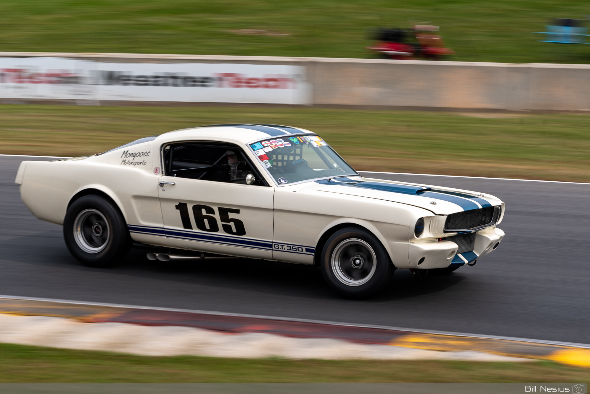 1965 Ford Mustang Shelby GT350 Number 165 / DSC_7703 / 3