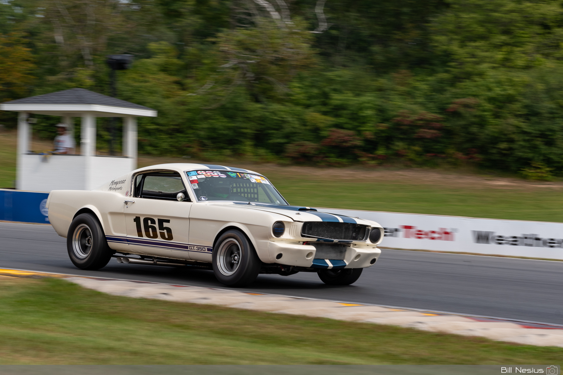 1965 Ford Mustang Shelby GT350 Number 165 / DSC_7794 / 3
