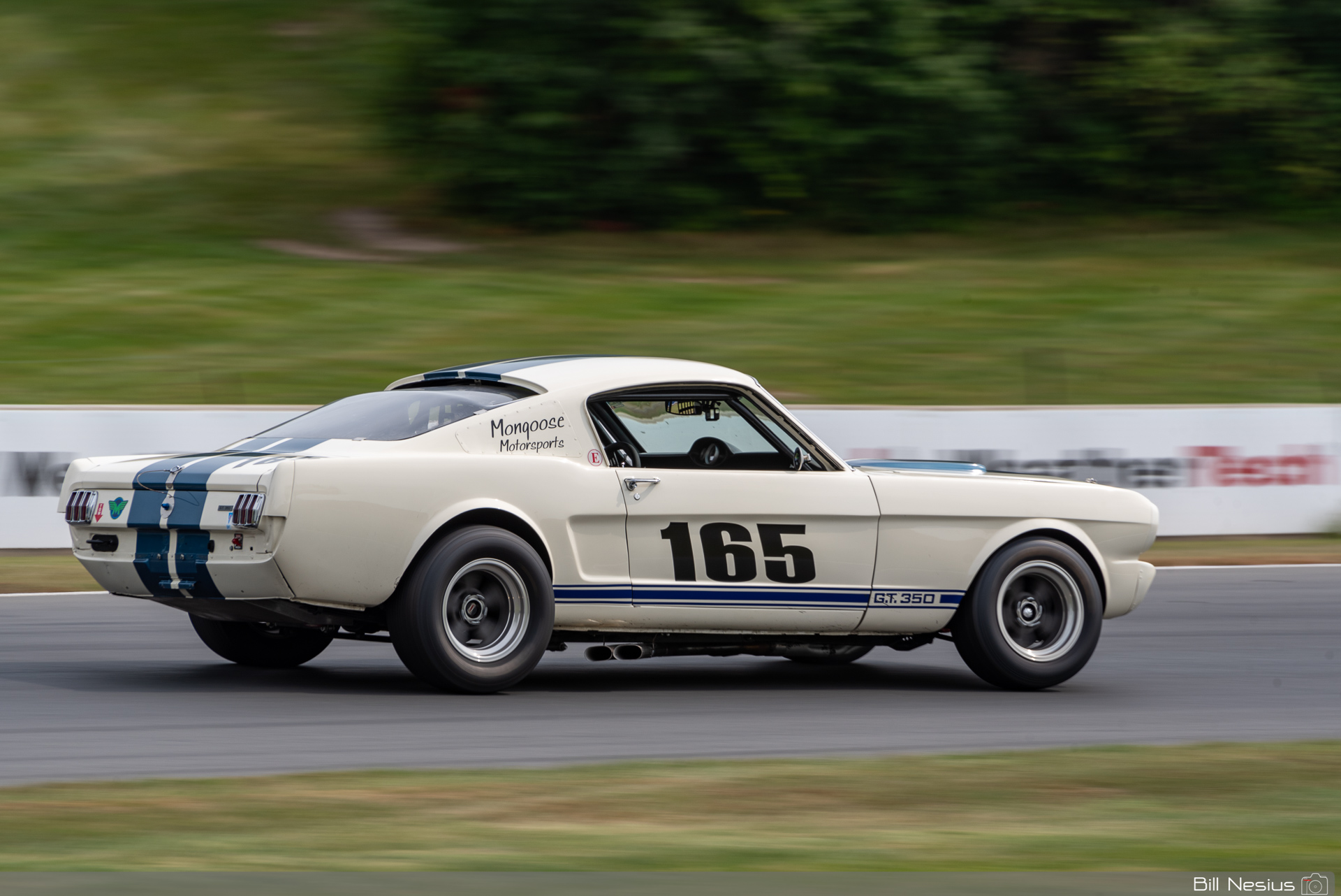 1965 Ford Mustang Shelby GT350 Number 165 / DSC_8013 / 3