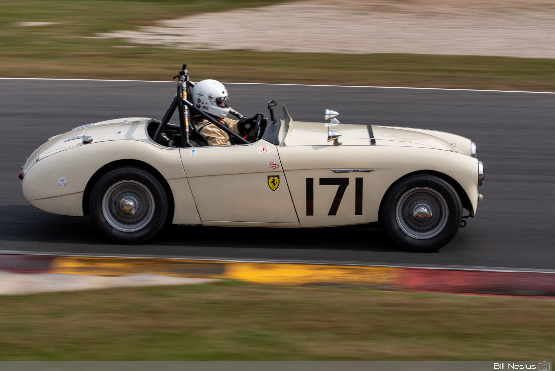 1959 Austin Healey 3000S Number 171 / DSC_8391 / 3