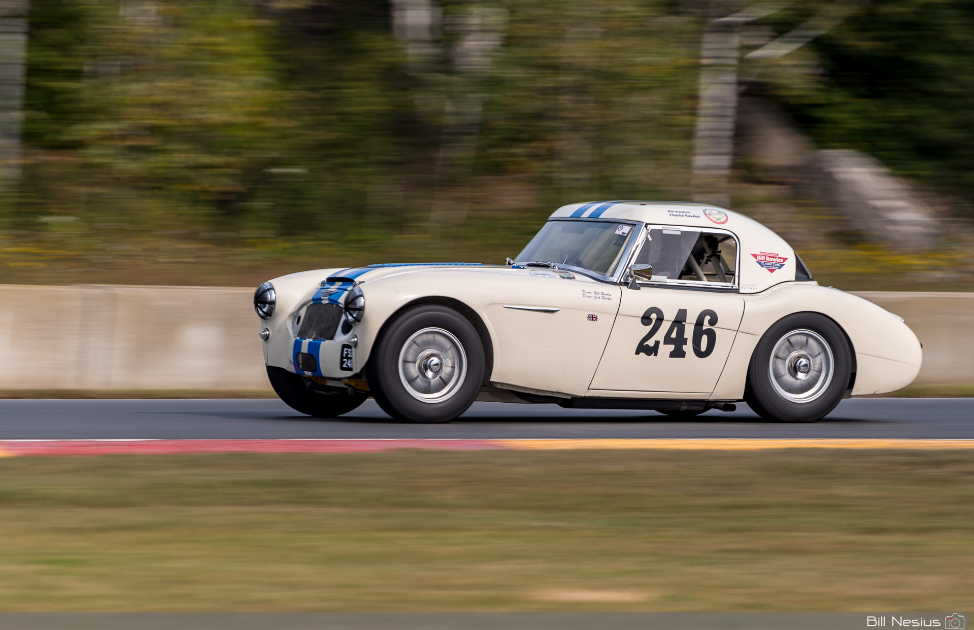 1963 Austin Healey 3000 Number 246 / IMG_1066 / 3