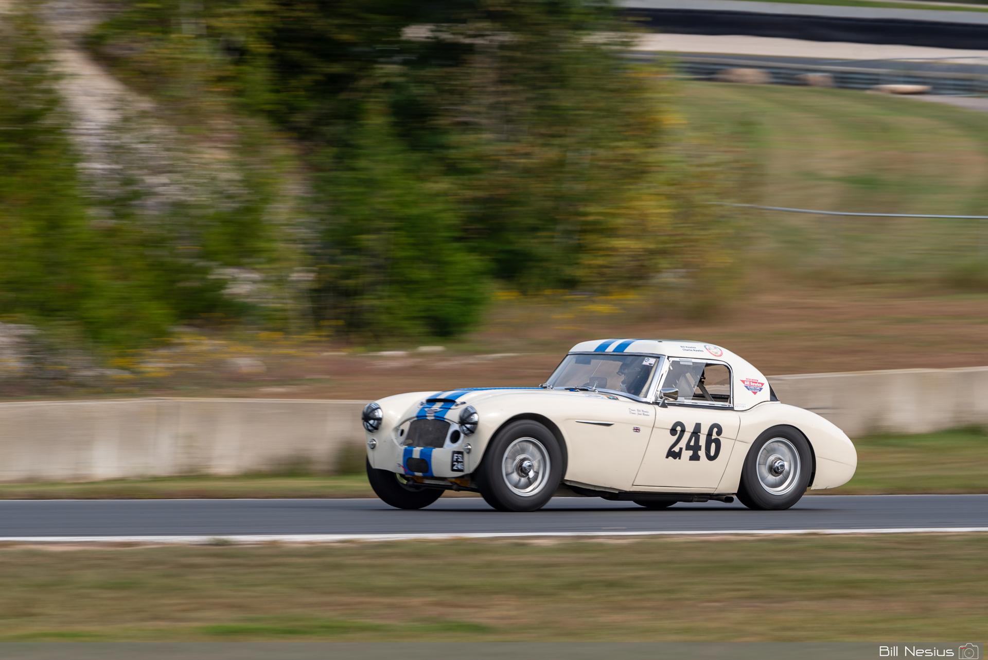 1963 Austin Healey 3000 Number 246 / IMG_1189 / 3