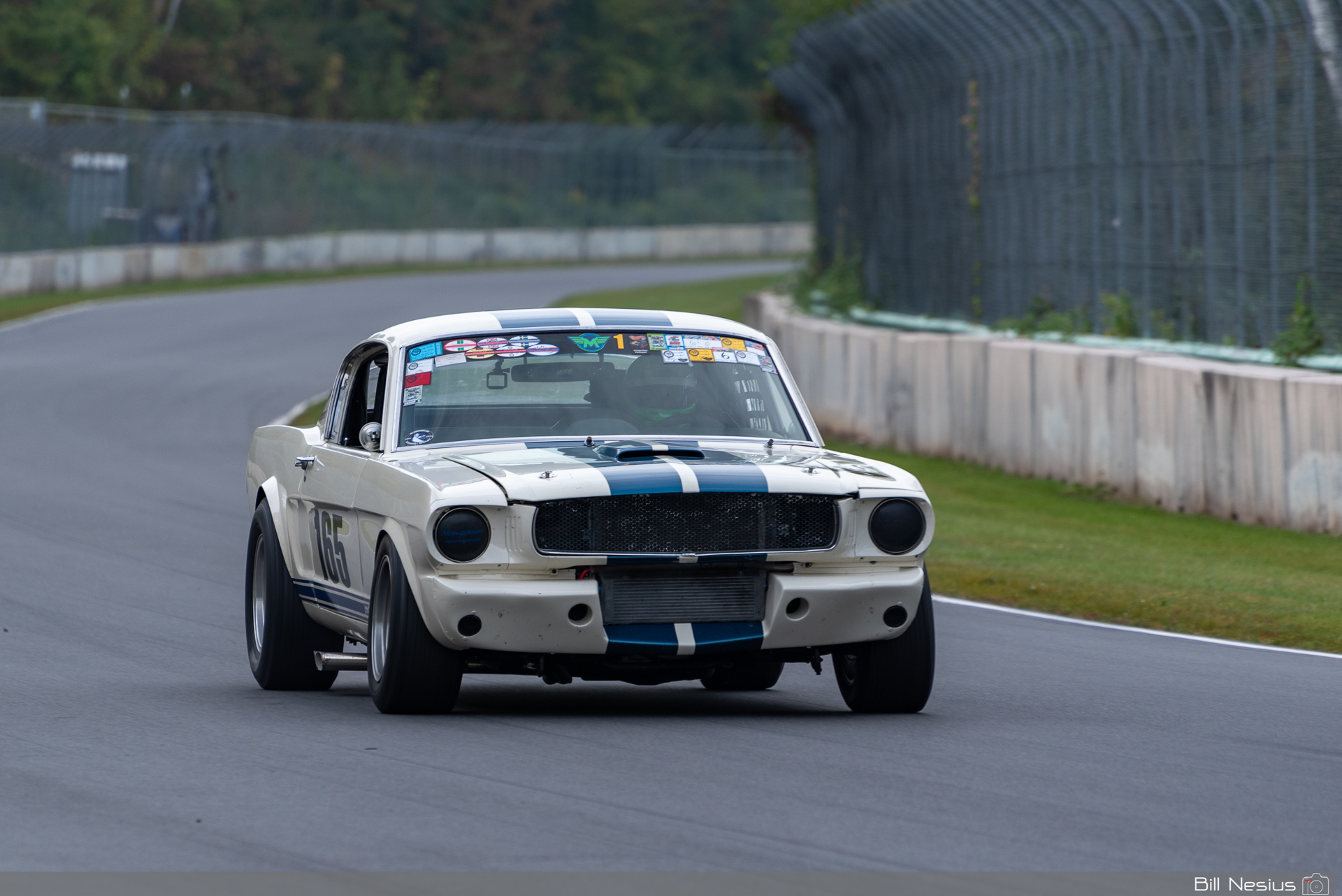 1965 Ford Mustang Shelby GT350 Number 165 / IMG_1816 / 3
