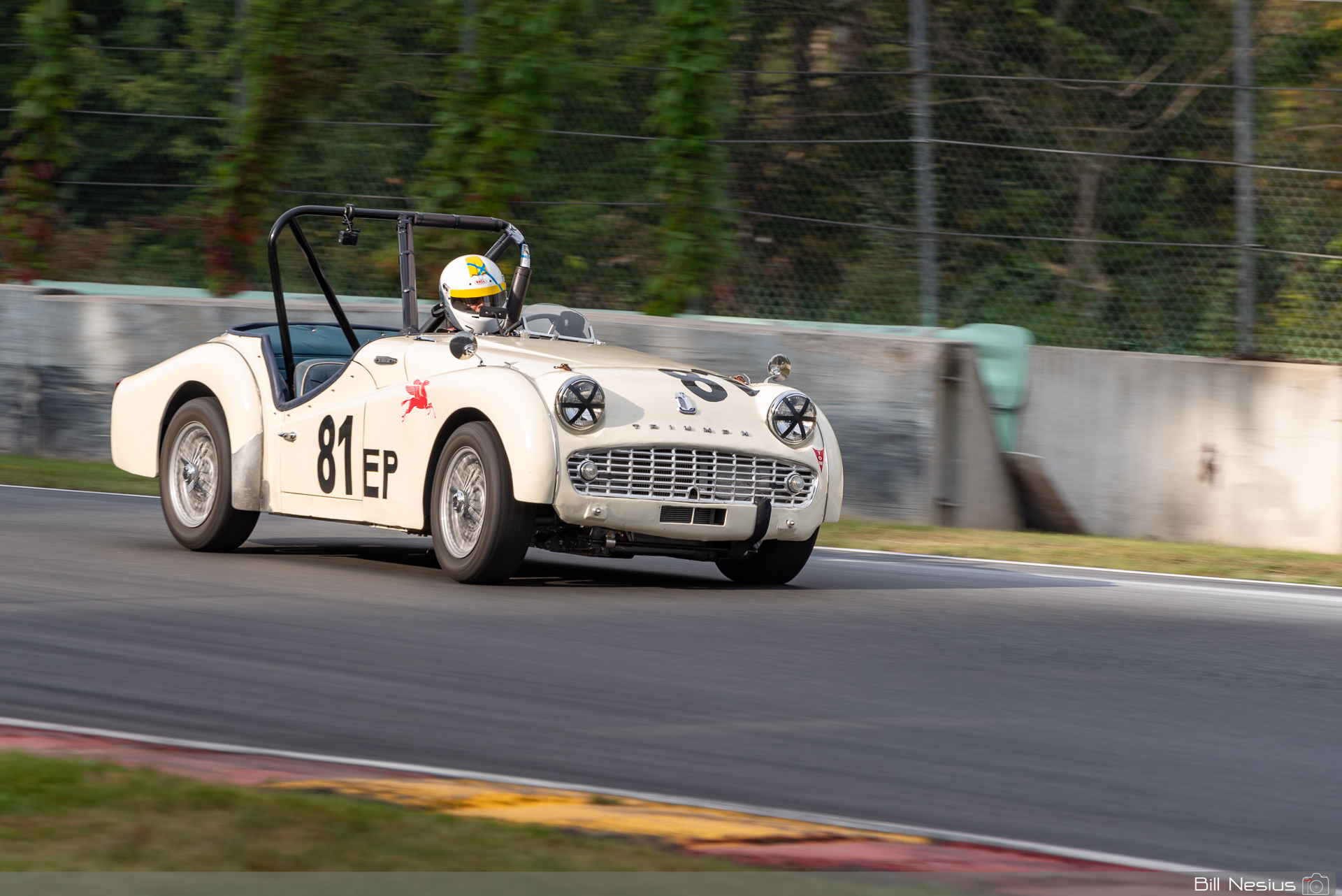 1958 Triumph TR3 Number 81 / IMG_2223 / 3