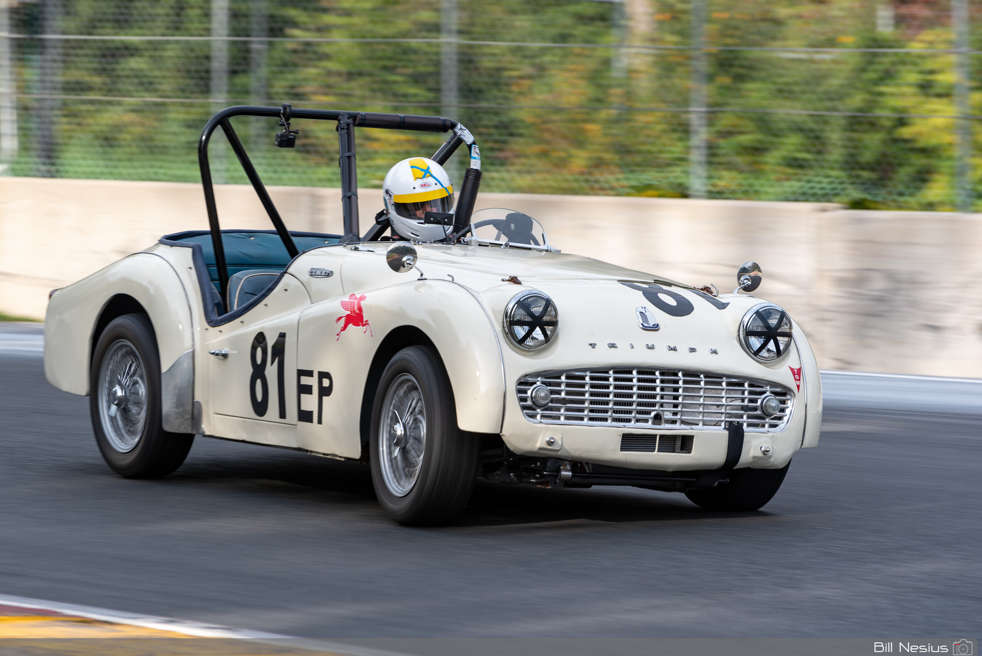1958 Triumph TR3 Number 81 / IMG_2228 / 3