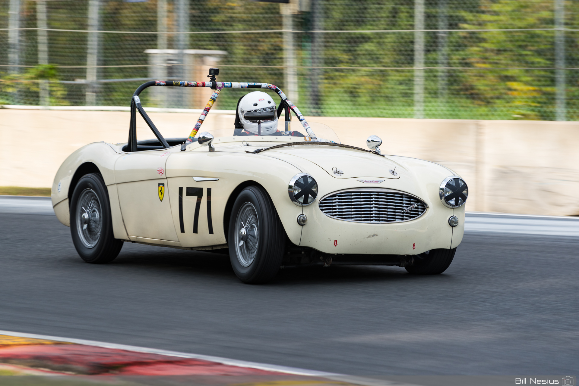 1959 Austin Healey 3000S Number 171 / IMG_2489 / 4