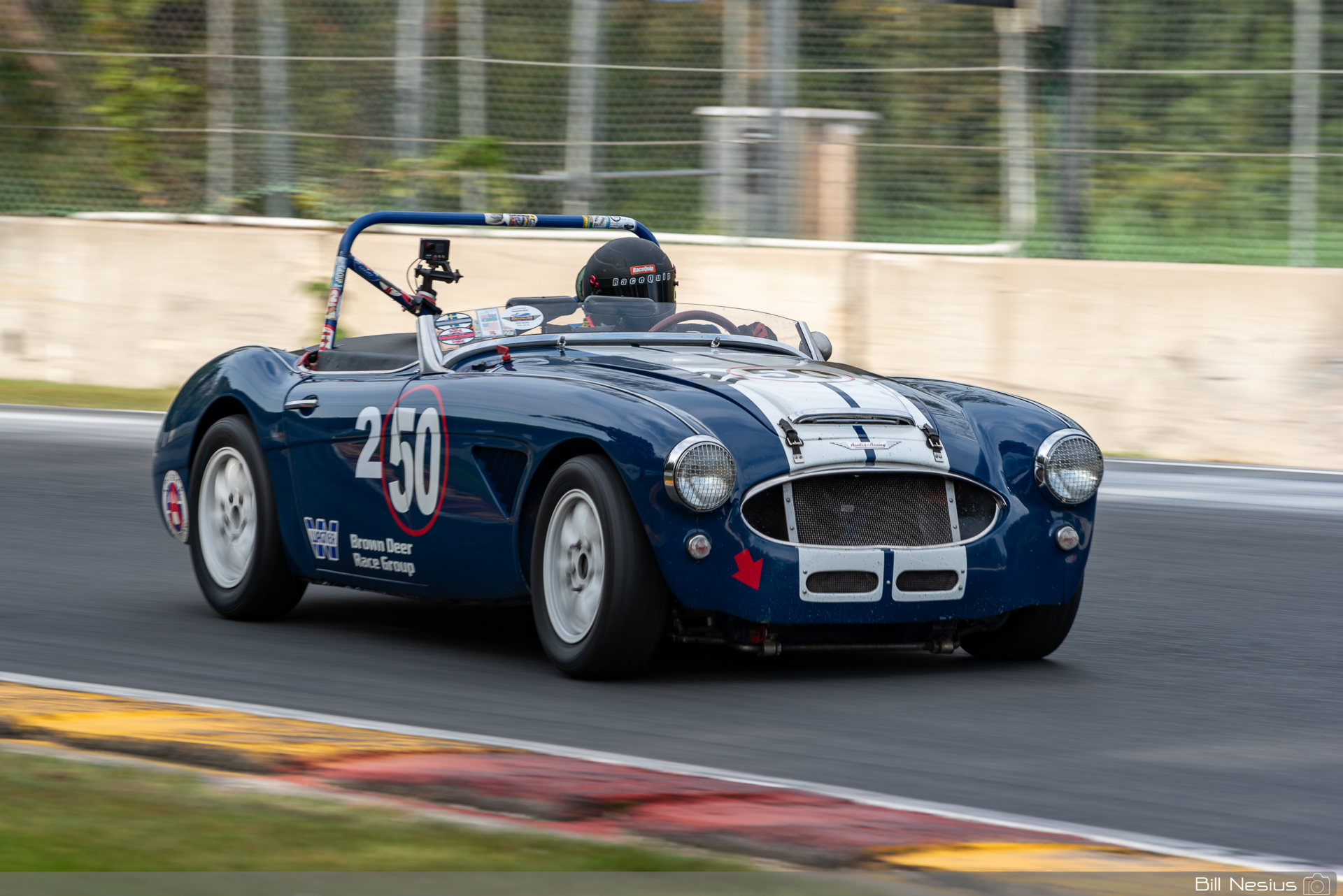 1960 Austin Healey 3000 Number 50 / IMG_2529 / 3