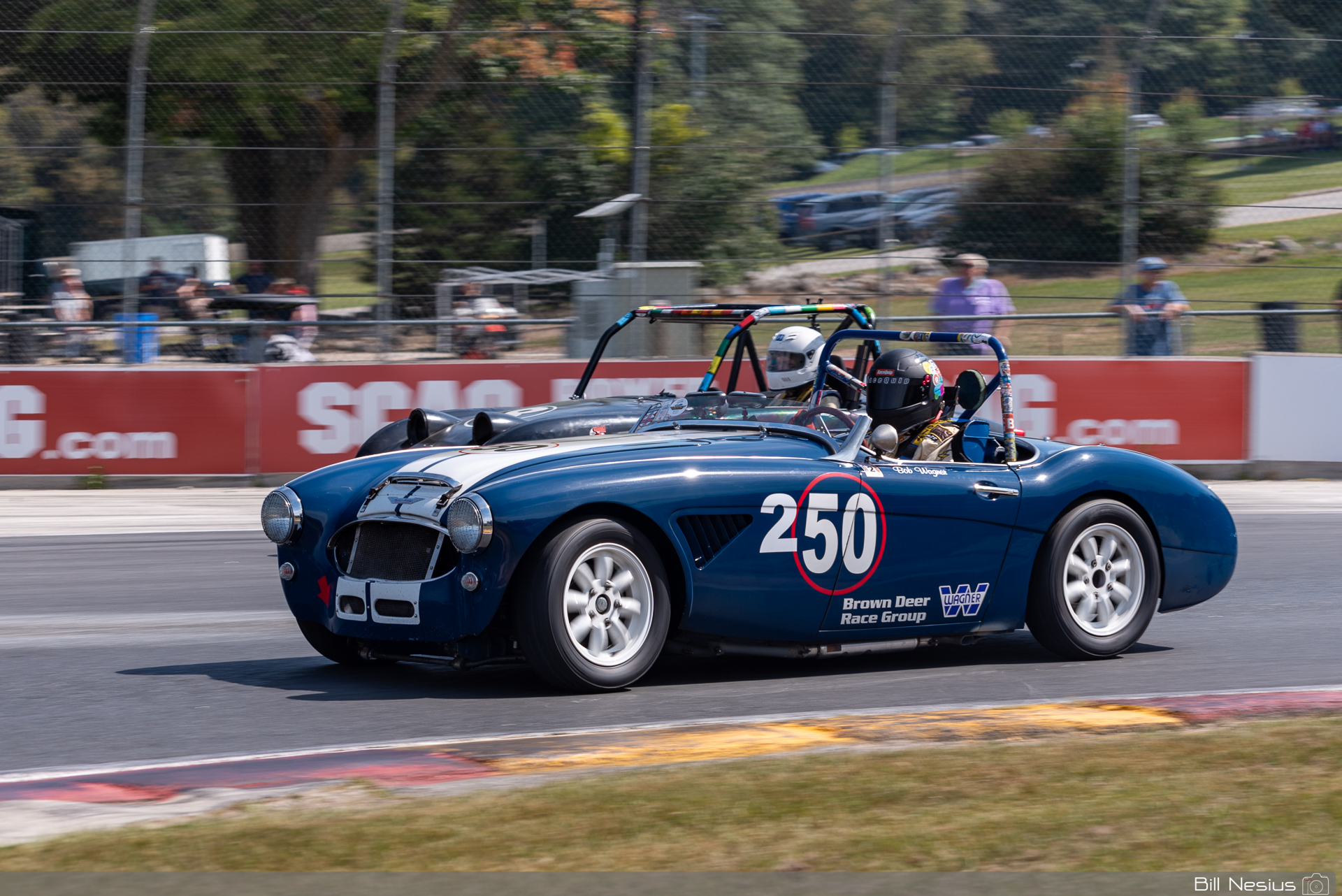 1960 Austin Healey 3000 Number 50 / IMG_5436 / 3