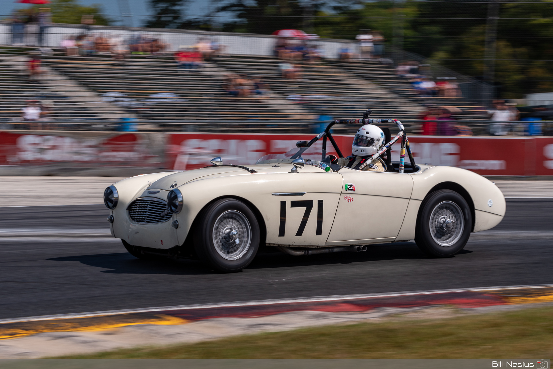 1959 Austin Healey 3000S Number 171 / IMG_5593 / 3