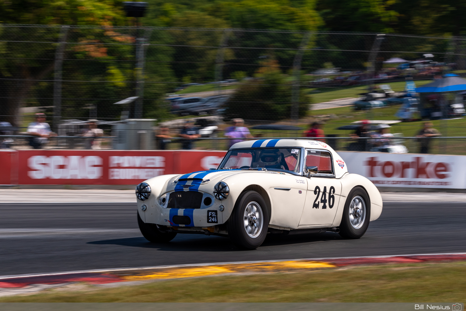 1963 Austin Healey 3000 Number 246 / IMG_5654 / 3