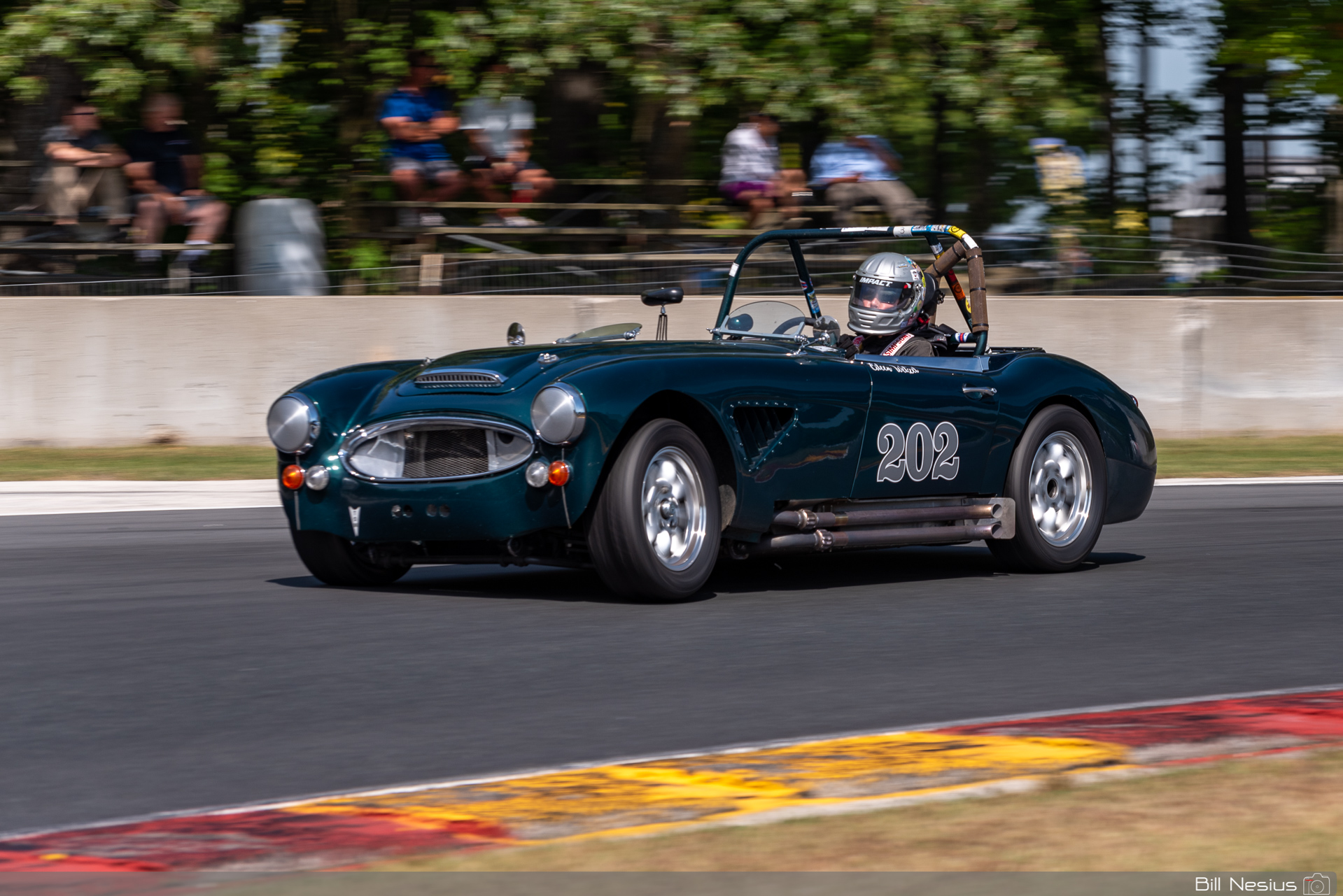 1966 Austin Healey 3000 Number 202 / IMG_5852 / 3